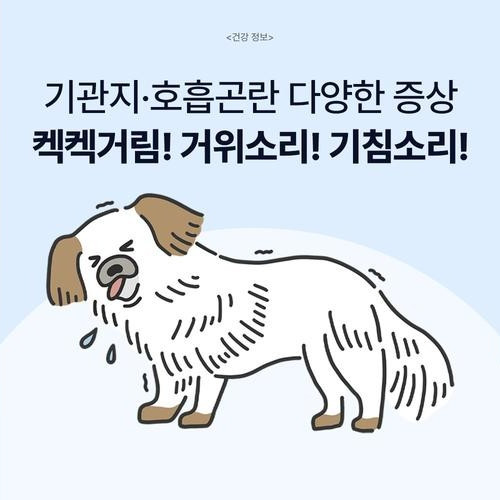 대표 썸네일