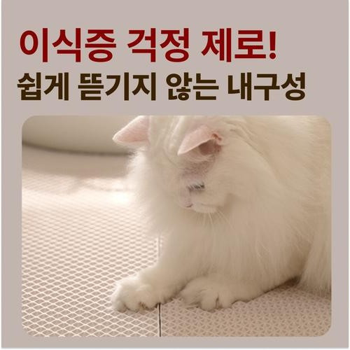 대표 썸네일