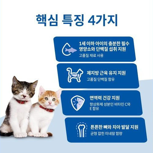 대표 썸네일