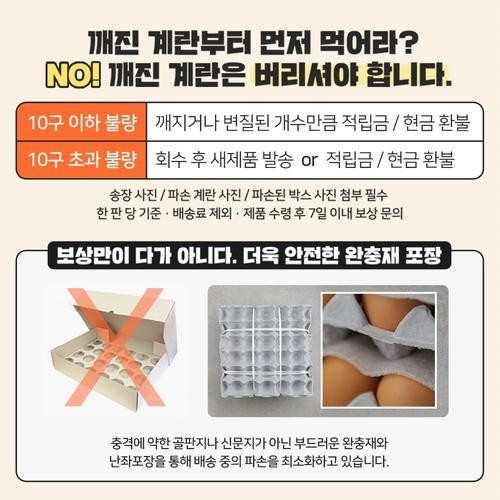 대표 썸네일