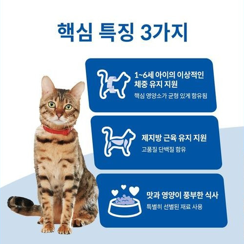 대표 썸네일