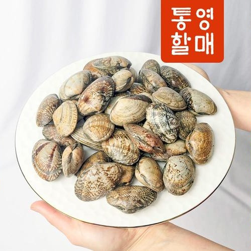 대표 썸네일