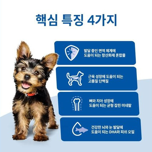 대표 썸네일