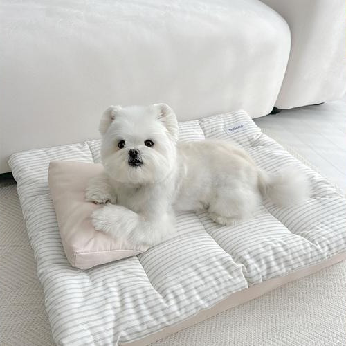 대표 썸네일