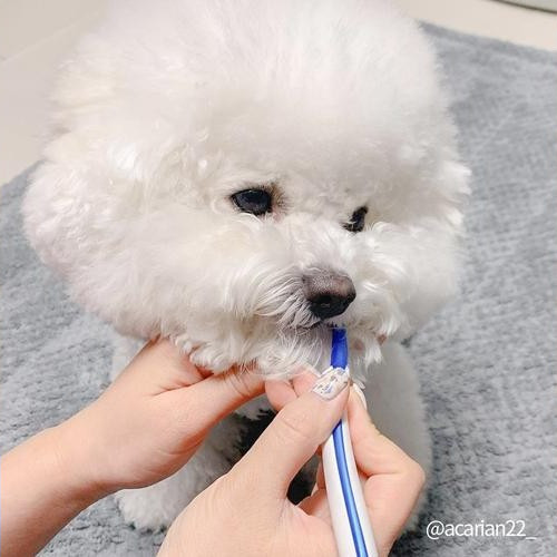 대표 썸네일
