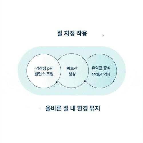 대표 썸네일