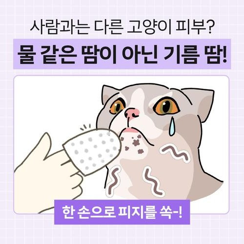 대표 썸네일