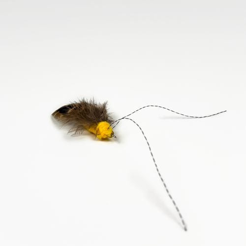 대표 썸네일
