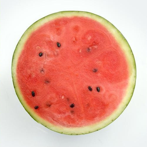 대표 썸네일