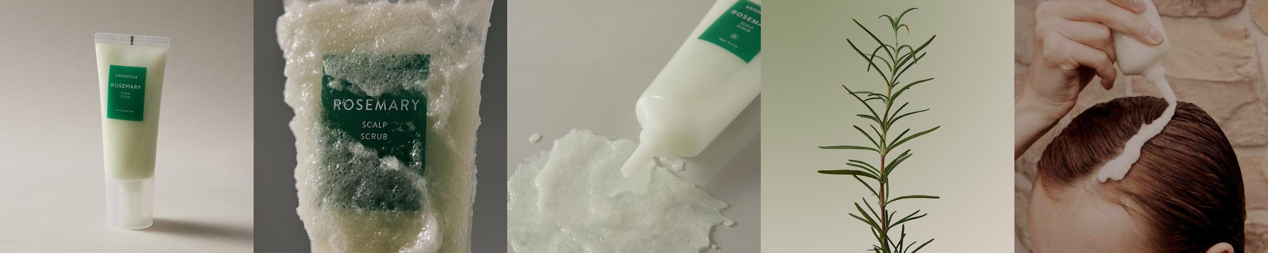 아로마티카 로즈마리 스칼프 스크럽 165g 두피 각질 스케일링 아로마티카 로즈마리 스칼프 스크럽 165g 두피 각질 스케일링