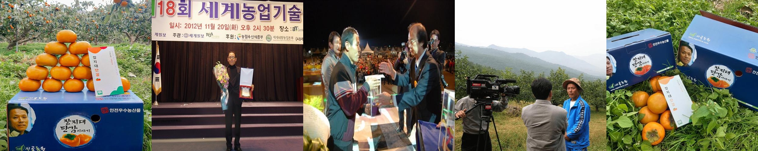 단감 진영단감 태추 감 부유 대봉 홍시 5kg 10kg 시골농원 단감 진영단감 태추 감 부유 대봉 홍시 5kg 10kg 시골농원