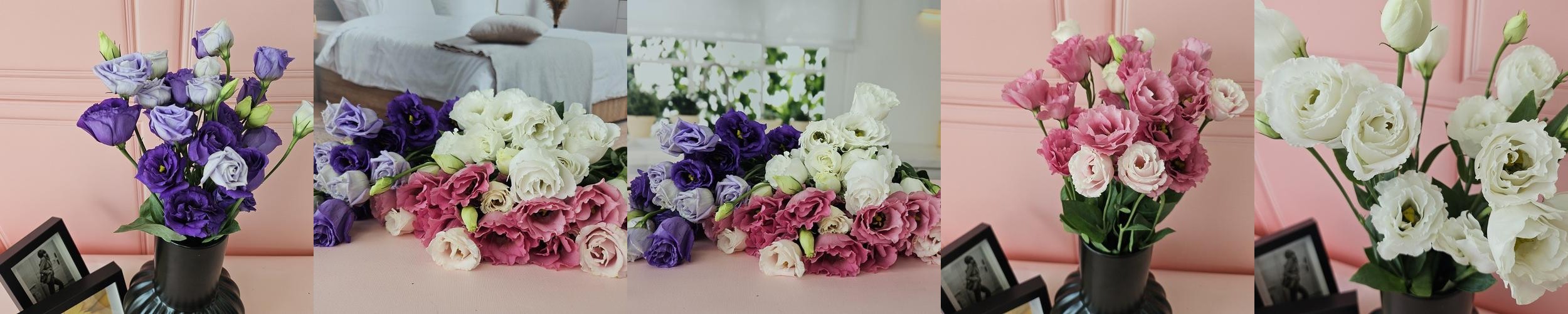 유스풀몰 리시안셔스 리시안 꽃 보라빛 반단 생화 택배 꽃다발 꽃배달 유스풀몰 리시안셔스 리시안 꽃 보라빛 반단 생화 택배 꽃다발 꽃배달