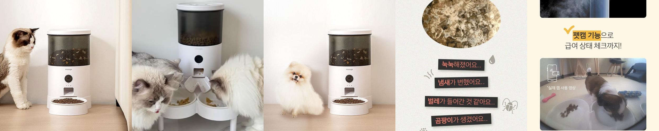 묘향가 진공 강아지 고양이 자동급식기 사료 스마트 앱연동 1구 묘향가 진공 강아지 고양이 자동급식기 사료 스마트 앱연동 1구