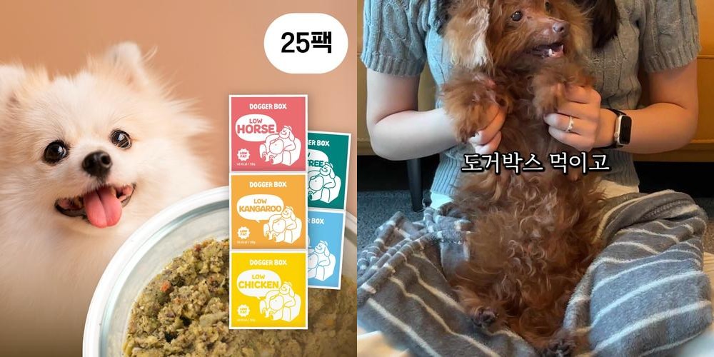 강아지 화식 큐브 사료 자연식 신장케어팩 25포 강아지 화식 큐브 사료 자연식 신장케어팩 25포