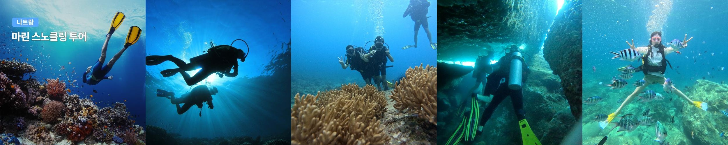 나트랑 마린 스노쿨링 호핑투어 (한국인 가이드 스쿠버다이빙 프리다이빙) 나트랑 마린 스노쿨링 호핑투어 (한국인 가이드 스쿠버다이빙 프리다이빙)