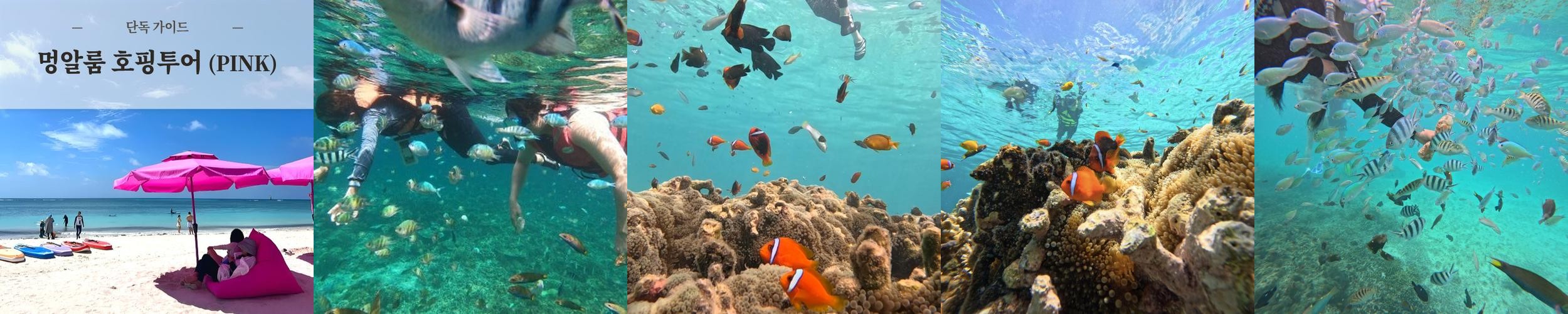 코타키나발루 멍알룸섬 호핑투어 단독투어 프리다이빙 신규 비치 NEW 멍알룸 오픈 행사 코타키나발루 멍알룸섬 호핑투어 단독투어 프리다이빙 신규 비치 NEW 멍알룸 오픈 행사