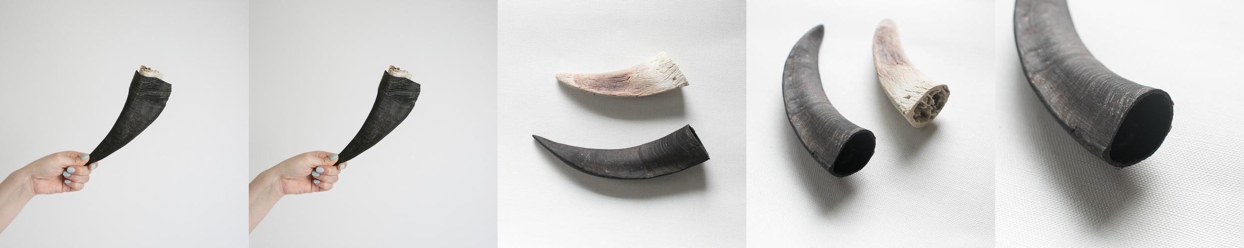 강아지 수제 간식 오래먹는 개껌 대형견 뼈간식 흑염소뿔 염소뿔 1P 강아지 수제 간식 오래먹는 개껌 대형견 뼈간식 흑염소뿔 염소뿔 1P