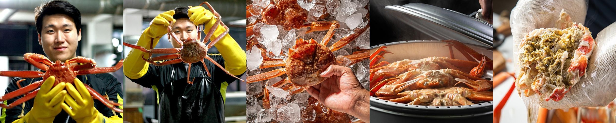 국내산 제철 박달 대게 홍게 게 포항 구룡포 국내산 제철 박달 대게 홍게 게 포항 구룡포