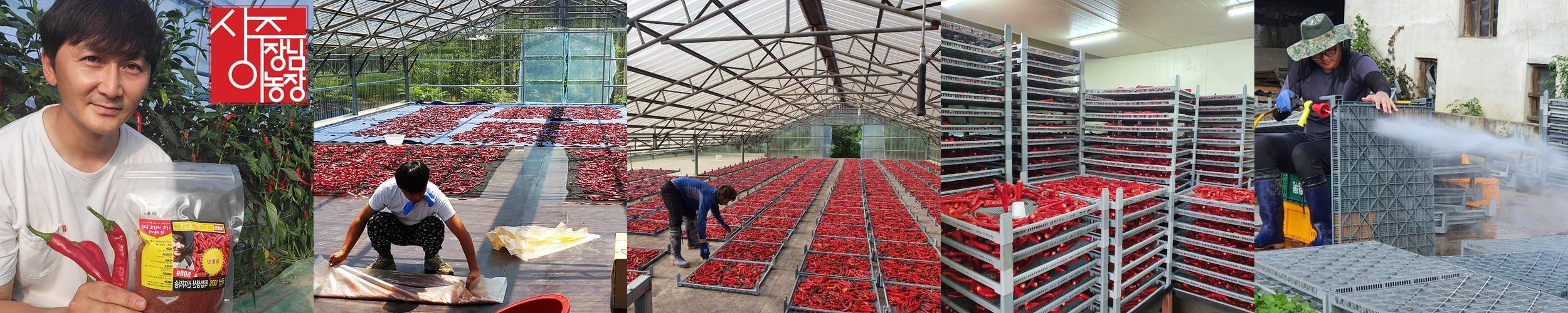 25년 국산 햇고춧가루 한근 500g 보통맛 김장 반찬용 보통굵기 고추가루 25년 국산 햇고춧가루 한근 500g 보통맛 김장 반찬용 보통굵기 고추가루