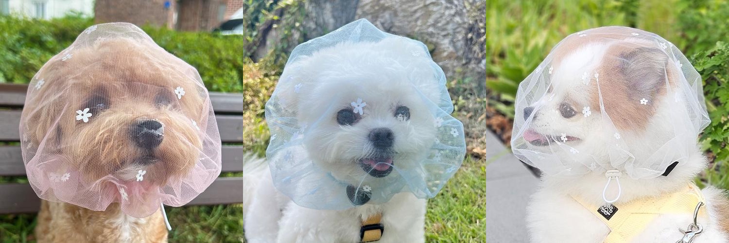 강아지 페이스커버 플라워 얼굴망 이식증 산책망 양파망 양봉모자 S 강아지 페이스커버 플라워 얼굴망 이식증 산책망 양파망 양봉모자 S