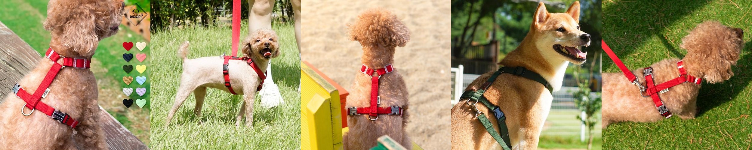강아지 하네스 소형견 가슴줄 앞섬방지 H형 중형견 대형견 XS 강아지 하네스 소형견 가슴줄 앞섬방지 H형 중형견 대형견 XS