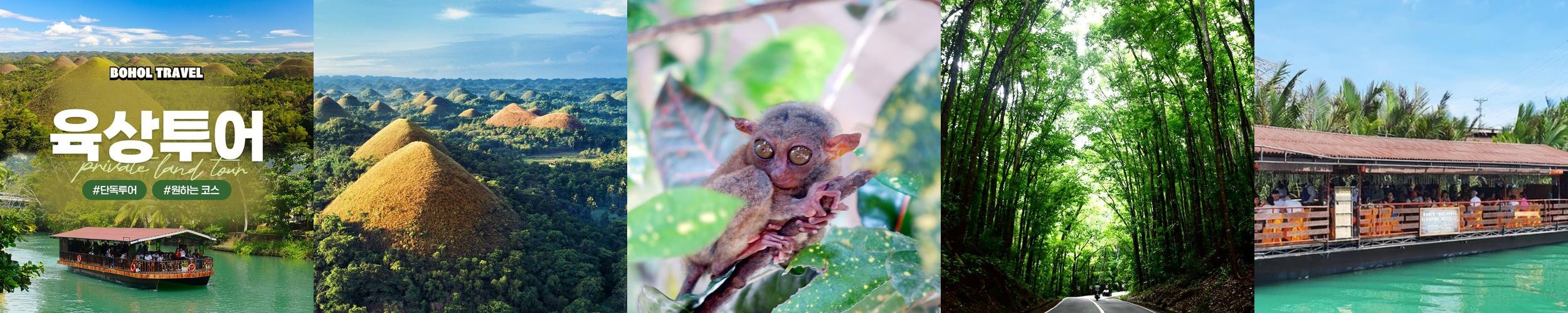 보홀 육상투어 단독차량 초콜릿힐 안경원숭이 로복강 보홀 육상투어 단독차량 초콜릿힐 안경원숭이 로복강