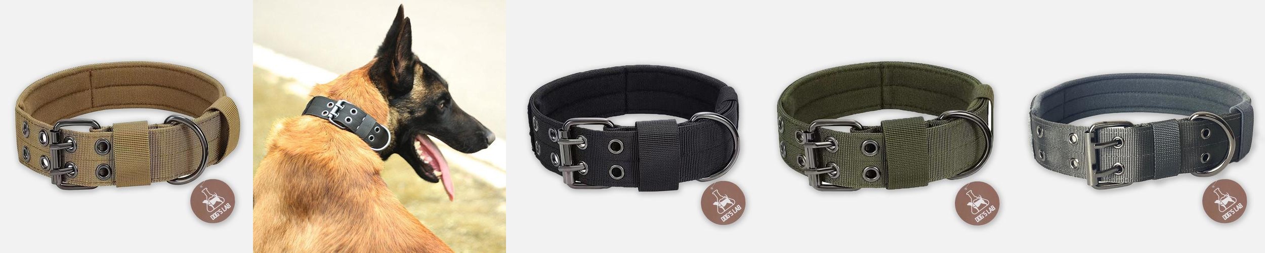독스랩 강아지 목줄 중형견 대형견 목줄 진돗개 리트리버 M 독스랩 강아지 목줄 중형견 대형견 목줄 진돗개 리트리버 M