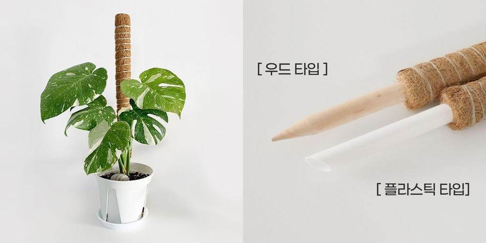 수태봉 몬스테라 화분 식물지지대 곰팡이 걱정없는 연결형 코코봉 플라스틱 슬림 40cm 수태봉 몬스테라 화분 식물지지대 곰팡이 걱정없는 연결형 코코봉 플라스틱 슬림 40cm