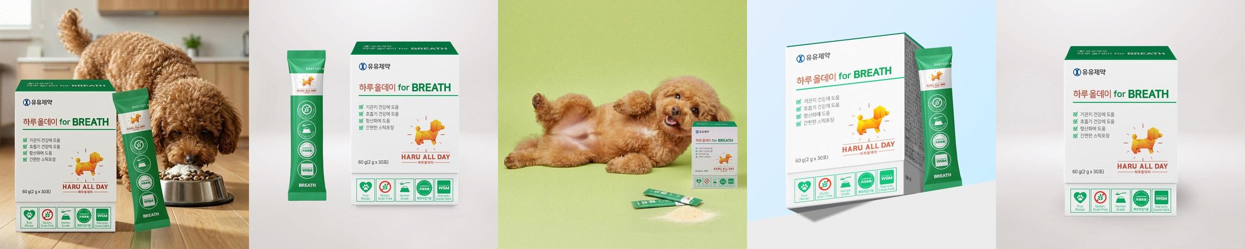 하루올데이 강아지 기관지 반려견 영양제 감기 협착증 카제로템 하루올데이 강아지 기관지 반려견 영양제 감기 협착증 카제로템