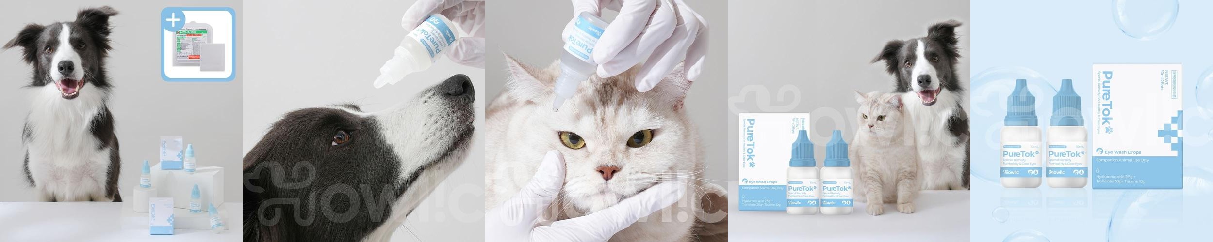 퓨어톡 강아지 고양이 인공 눈물 눈세정제 눈꼽 안구건조증 눈병 일회용 20ml, 1개 퓨어톡 강아지 고양이 인공 눈물 눈세정제 눈꼽 안구건조증 눈병 일회용 20ml, 1개